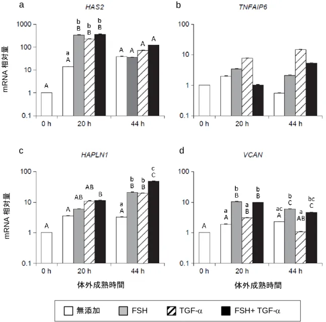 図 3-5  卵丘膨化関連遺伝子(a) HAS2, (b) TNFAIP6, (c) HAPLN1,  および(d) VCAN の mRNA 発現における TGF-および FSH の作用  4回の繰り返し実験による平均値±標準誤差を示す．  同一培養時間内（a–c）あるいは同一処理区内（A–C）の異なる文字間に有意差あり （P < 0.05）．  無添加        FSH         TGF-        FSH+ TGF- a b c d 体外成熟時間  体外成熟時間 mRNA相対量