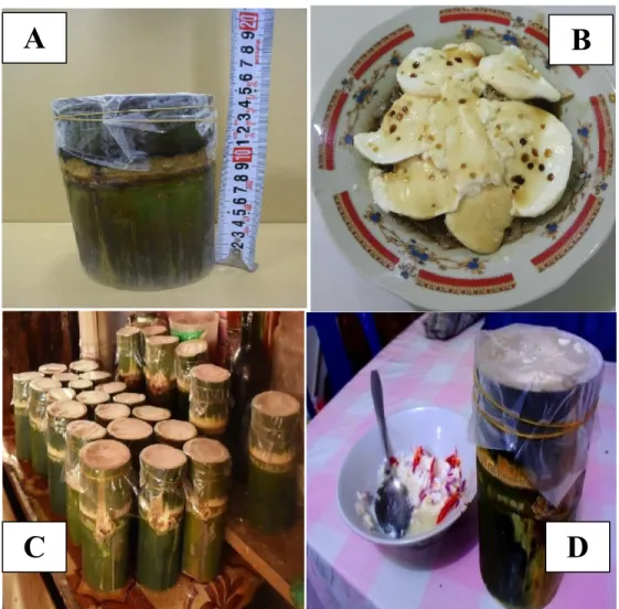 Figure 1:  A .  Original dadiah 