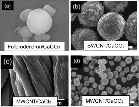 Figure  1-15.  SEM  images  of  nanocarbon/CaCO 3   hybrids  obtained  by  the  biomime tic  crystallization  process using  dendritic  ‘glue’  molecules