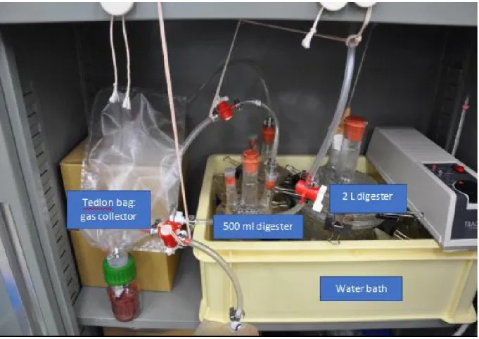 Figure 3.2: Experimental set up for 500ml and 2000 ml digester