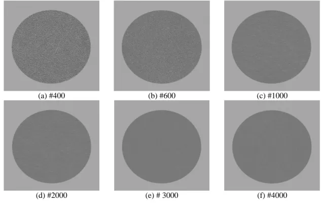 Fig 2.3 Six samples of visual stimuli
