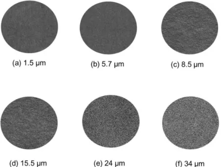Fig 2.10. Six types of scanned sandpapers used in all task involving visually displayed stimuli