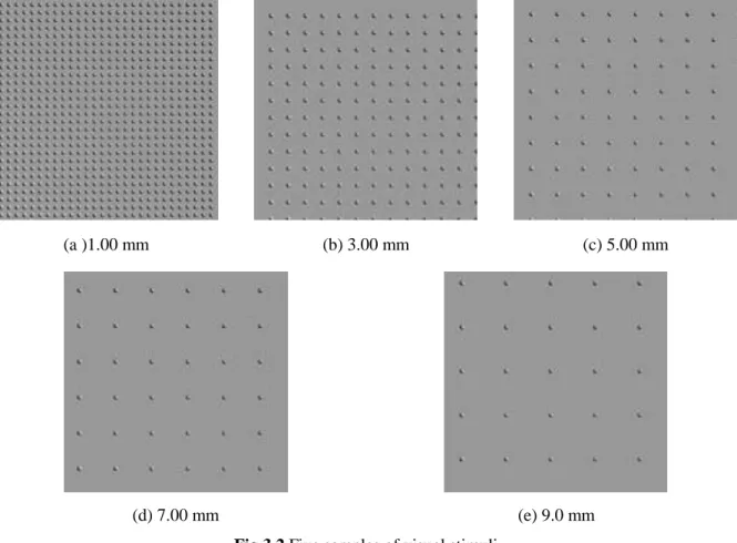 Fig 3.2 Five samples of visual stimuli 