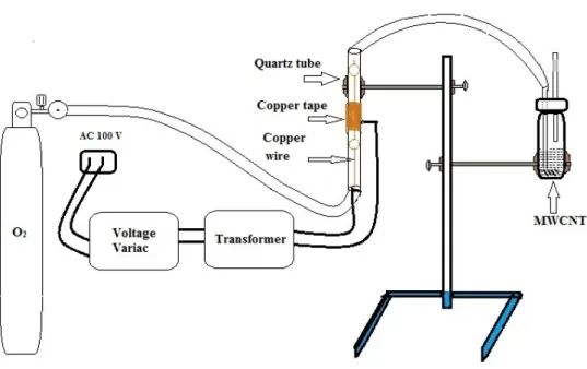 Figure 4.1 Experimental setup for ozone treatment of MWCNTs 