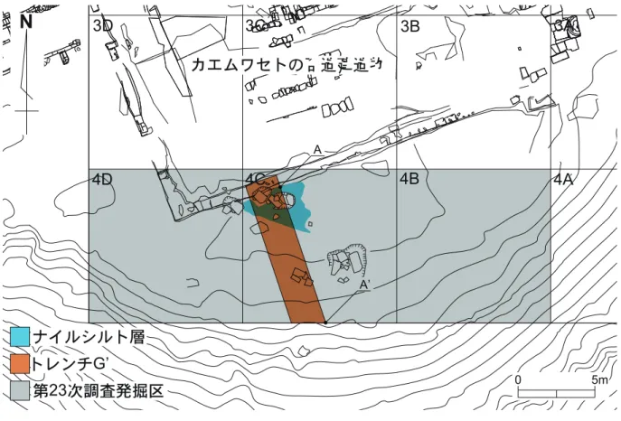 図 3　カエムワセトの石造建造物南側の発掘区 Fig.3  The area to the south of the monument of Khaemwaset 