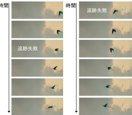 図 3 フレームイン直後に発生した追跡の途切れの例．  除去することで，電線や木の揺れによるノイズを除去する．また，カラー・ヒストグラムを作る際は，一定 の閾値よりも頻度の低い bin の値を 0 にしている．これは，差分によってカラスの領域のみを抽出しても， わずかに残る背景の領域の影響を，抑制するためである．  3    プリセット・カラー・ヒストグラム Mean-shift トラッキングとフレーム間差分を組み合わせた手法によって追跡を行った場合，一度安定した 追跡に入った後は，そのまま高い精度での追跡