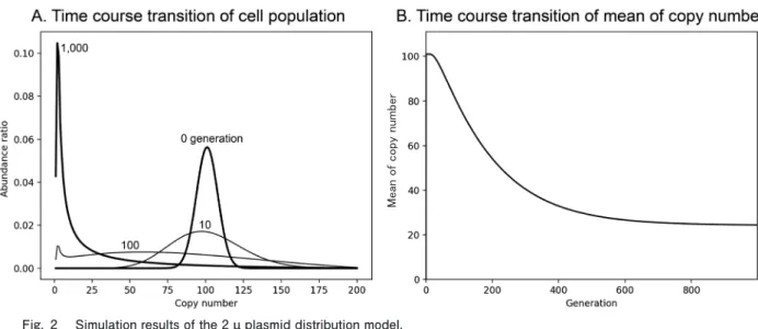 Fig. 2  Simulation results of the 2 µ plasmid distribution model.    