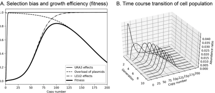 Fig. 3  Simulation of the plasmid distribution with a gene whose overexpression causes weak fitness defect