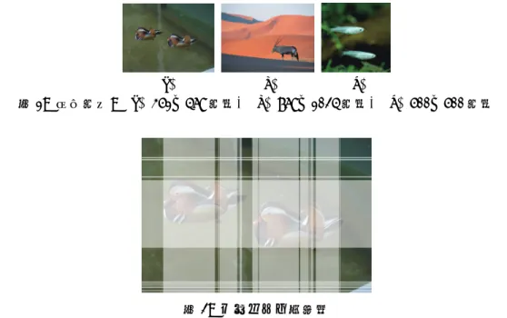 図 3: 行/列除去の結果: (a)-(c) Cho らの手法[2], (d)-(f) 提案手法, (a,d)  ,