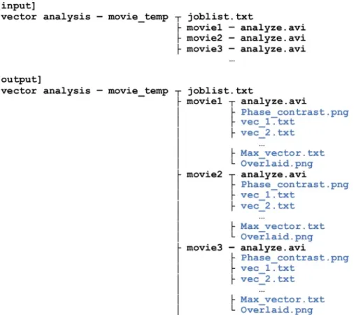 Figure 1: Folder structure for displacement vector analysis using imageJ.