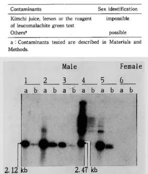 Table  3  Possibility  of  sex  identification  from  DNA  isolated  from  32-week-old  contaminated  bloodstains  by  Southern  hybridization.