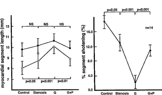 Fig.  2  Effects  of  interventions  on  regional  wall  motion  in  the  ischemic  myocardium  (left  anterior 