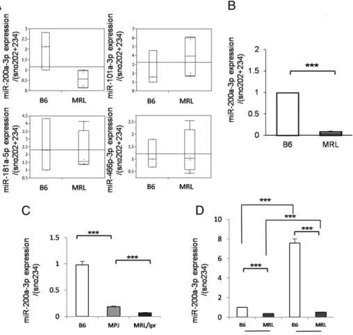 FIGURE 1. The downregulation of miR-200a-3p in CD4 + T cells of MRL mice. ( A ) The expression of  200a-3p, 181a-5p, 101a-200a-3p, and  miR-466p-3p (combination of miR-466b-3p, miR-466c-3p, and miR-466p-3p) was evaluated by TaqMan quantitative PCR.