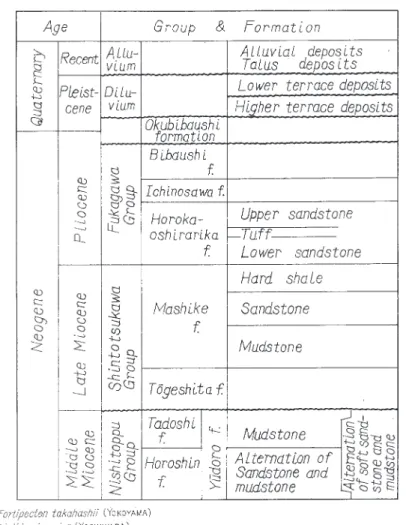 Table 1 Stratigraphic Sequence
