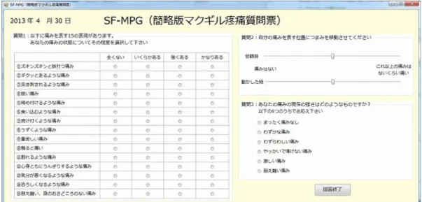 図 3.11: 簡 略 版 マ ク ギ ル 疼 痛 質 問 票