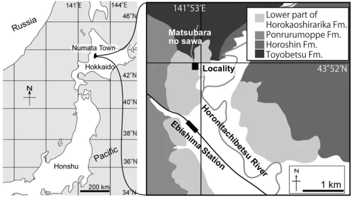 Fig. 1    NFL 2083 locality. The map is modified from Tanaka and Kohno (2015). Geological map is based on  Watanabe and Yoshida (1995).