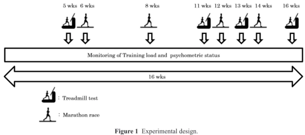 Figure 1  Experimental design. 