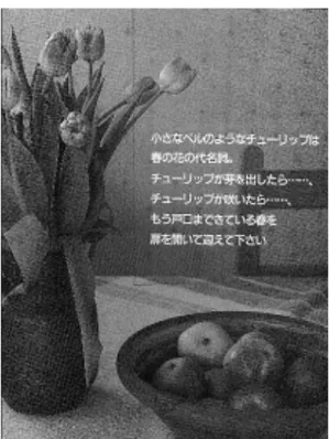 図 4.2: 写真の上に文字列