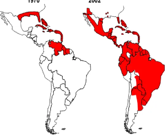 Figura  2.  Países  americanos  con  casos  de  dengue  hemorrágico  confirmados  por  laboratorios  (áreas  sombreadas en rojo) antes de 1981 y entre 1981 y 2003