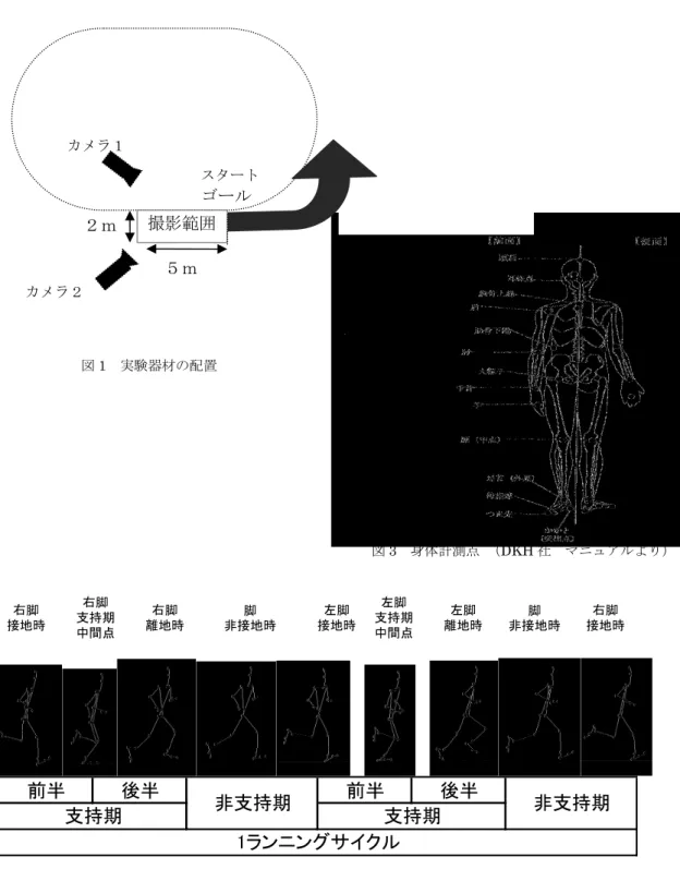 図 1  実験器材の配置  図 3  身体計測点 （DKH 社  マニュアルより）  右脚 接地時 右脚 支持期 中間点 右脚 離地時     脚 非接地時     左脚 接地時 左脚 支持期中間点 左脚 離地時 脚 非接地時 右脚 接地時 前半 後半 前半 後半 1ランニングサイクル支持期非支持期 支持期 非支持期 図 2  1 ランニングサイクルの局面分け ５ｍ２ｍ 撮影範囲 スタート ゴール カメラ１ カメラ２ 