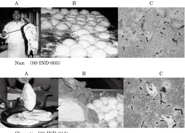 Table 1　Results of gelatin-liquefaction test and growth in 10％ NaCl solution of microorganisms isolated from Nan and Chapati