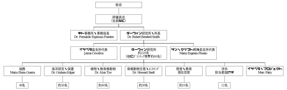 図 1-5.  チャールズ・ダーウィン財団の現在（2001 年）の組織図 キト事務所・事務局長