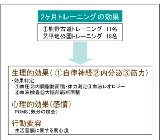 図 II-2  2 ヶ月間のウォーキングが心身に及ぼす影響の科学的検証調査のデザイン  （６）結果及び考察  ①熊野古道の環境整理  １）紫外線量  熊野古道および対照地域として平地公園の紫外線量を測定した。紫外線の測定は、熊野古道  ウォーキングコース 11 箇所と平地公園の日なた部分と日陰部分の 2 箇所で行った。 （図 II-3）  その結果、熊野古道の紫外線量の平均値は、平地の日なたと比較すると 50 分の１程度であった。  ②1 回ウォーキングの生理的、精神的、心理的影響  １）熊野古道の調査結果