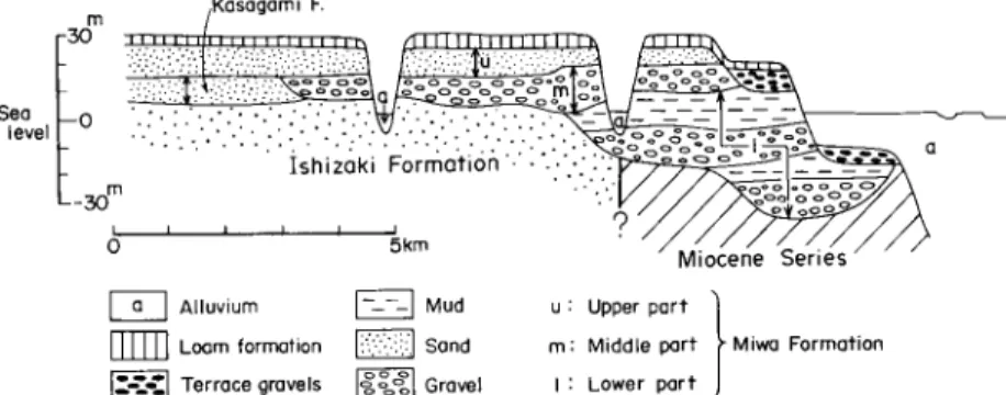 Figure 1  Schematic cross section of the Miwa Formation at the northeastern  corner of the Higashi-Ibarak Terrace 