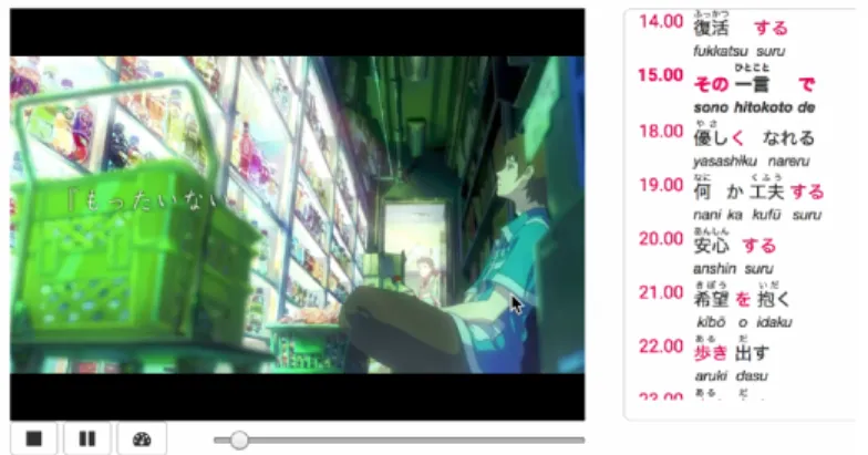 Figure 3 Screenshot of the video section       