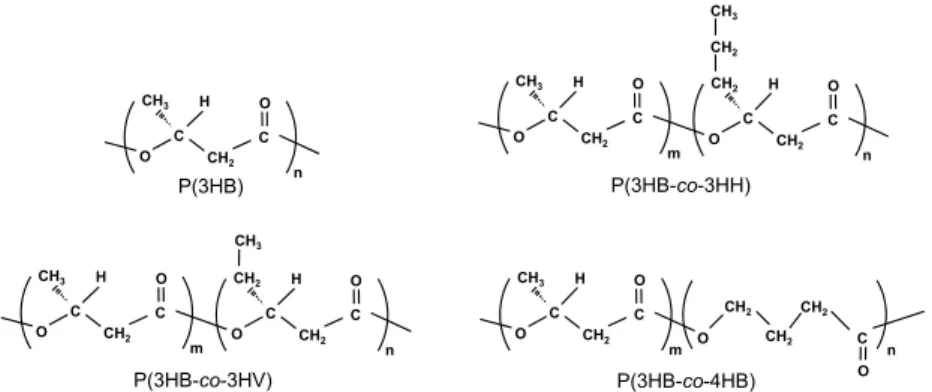 図 3 P（3HB）の分子鎖構造と結晶構造.（Molecular and crystal structures of P（3HB） .） （左）高強度繊維の X 線繊 維図と 2 種類の分子鎖構造（2 回らせん構造（α 構造）と平面ジグザグ構造（β 構造））,（右）α 構造の結晶構造