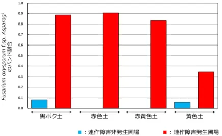 図 2-2  Fusarium oxysporum f.sp. asparagi  のバンドの割合  （長崎県農林技術開発センター圃場）  (6) 連作危険度の判定    PCR-DGGE 法によるアスパラガスの連作危険度の判定基準（暫定版）を以下のように作成 しました。データ数が少ないために暫定版となっております。  表 2-2  連作危険度の判定基準（暫定版）  (7) 留意点（注意する点・技術の限界）  1)  DGGE 解析は PCR 操作を伴うので定性的な解析となります。圃場における菌株の定量的な