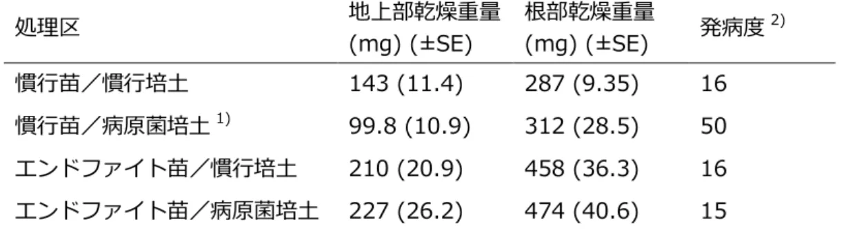 表  6-1．エンドファイト接種処理したアスパラガス苗のアスパラガス立枯病抑制効果  慣行苗、エンドファイト苗ともに 200 穴トレイで 4 週間育苗し、慣行培土、病原菌培土を    それぞれ入れた 9 cm ポットに鉢上げし、さらに 4 週間育苗した。  1)  病原菌培土：滅菌した慣行培土にアスパラガス立枯病菌  Fusarium oxysporum      f