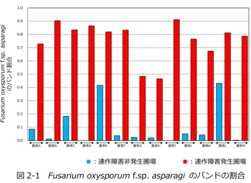 図 2-1  Fusarium oxysporum f.sp. asparagi  のバンドの割合  （長崎県農家圃場） プライマー配列EF-15'-ATGGGTAAGGARGACAAGAC-3‘           EF-25'-GGARGTACCAGTSATCATGTT-3'Alfie15'-TCGTCATCGGCCACGTCGACTC-３'Alfie2-GC 5'-CGCCCGCCGCGCGCGGCGGGCGGGGCGGGGGCACGCGGGGCCTTACCGAGCTCRGCGGCTT-３' 7 0.