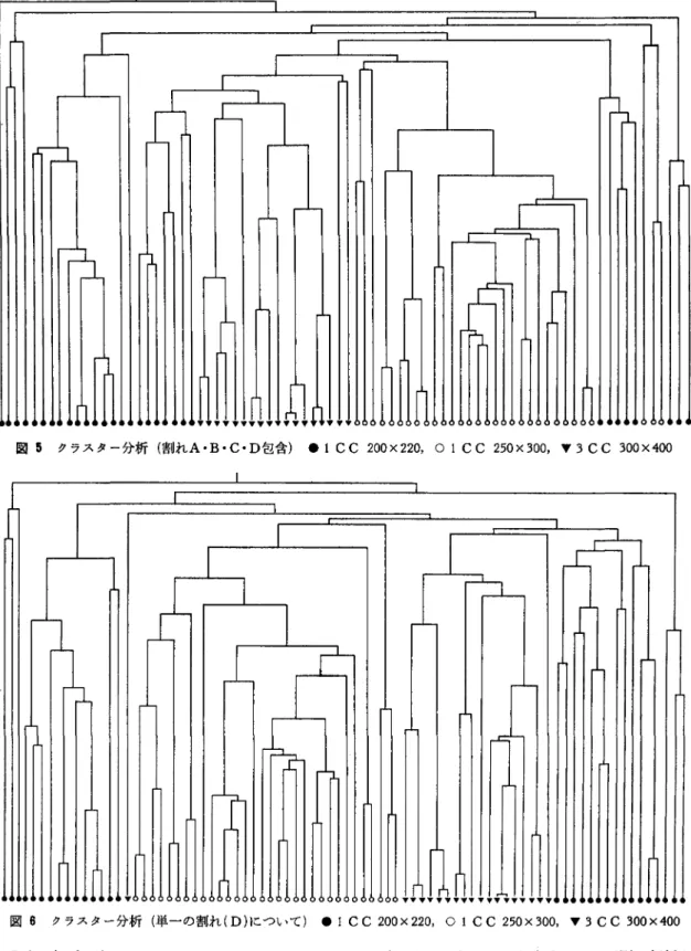 図 5 !l ラスター分析(割れ A ・ B ・ C ・ D 包含) ・ 1 C  C 2 0 0   x  220 ,  0 1  C  C 2 5 0   x  300 ,  ' f '   3  C  C 3 0 0   x  4 0 0  