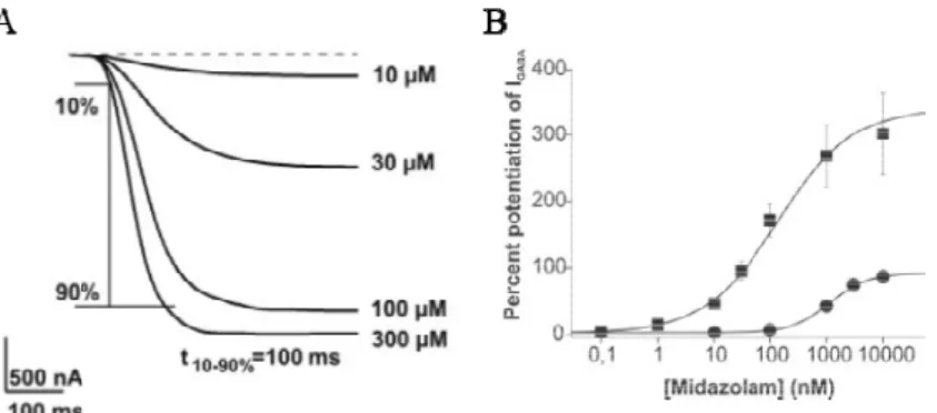 図 2.6.2.2.2-9  GABA A 受容体 α 1 β 2 γ 2S サブユニット発現細胞における 10～300 μM GABA の I GABA