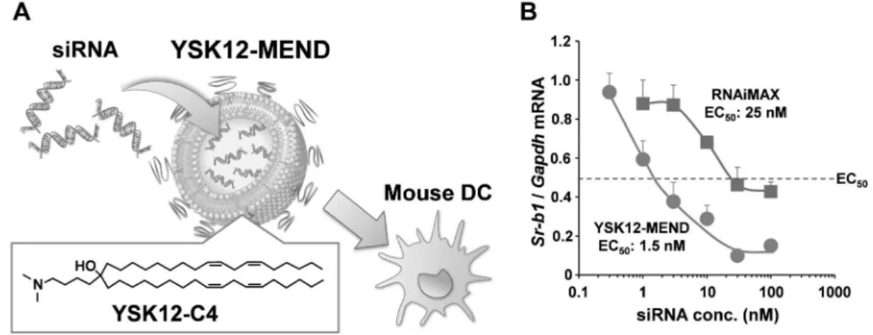 Fig. 3. Delivering siRNA to Mouse Dendritic Cells (DCs) by the YSK12-MEND
