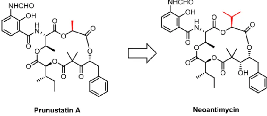 Figure 8. Neoantimycin と prunustatin A の構造的特徴の違い 