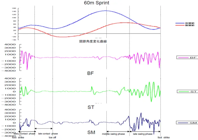 Figure 9  に 60m の ス プ リン ト ラ ン ニン グ 中 間 疾走 局 面 に おけ る 1 サ イ ク ル の 股 関 節 、 膝 関 節 の 関 節 角 度 変 化 パ タ ー ン 、BF-L・ ST・ SM の 筋 電 図 を 示す 。  