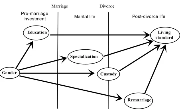 Figure 1.  Paths toward the gender gap in post-divorce living standard 