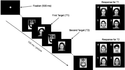 Figure 1.    The schematic responses of  trial sequence and response display. The response window  digits indicate the corresponding numbers on the keypad to respond to the target faces