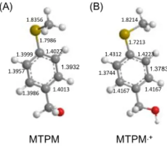 Fig. 4. Optimized structures of (A) MTPM and (B) MTPM +