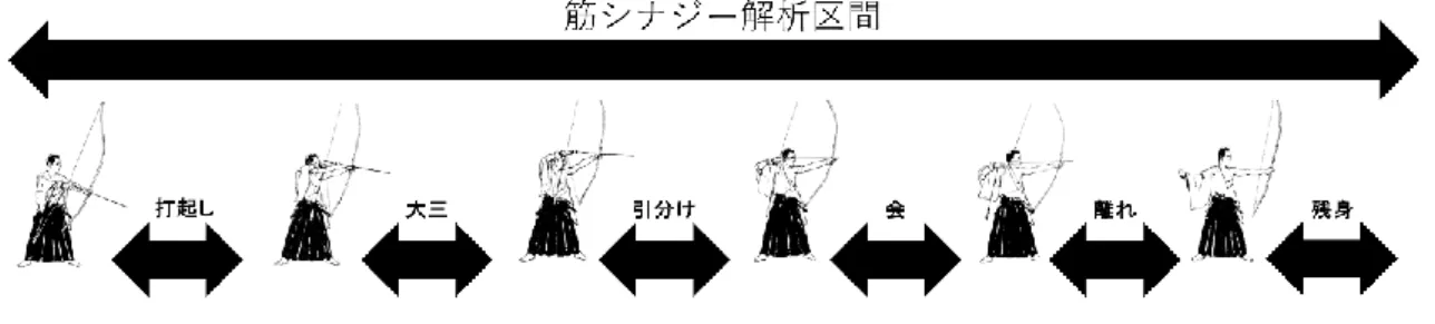 図 22：  弓射動作の期分け 