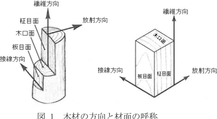 図 3  材の乾燥による変形 