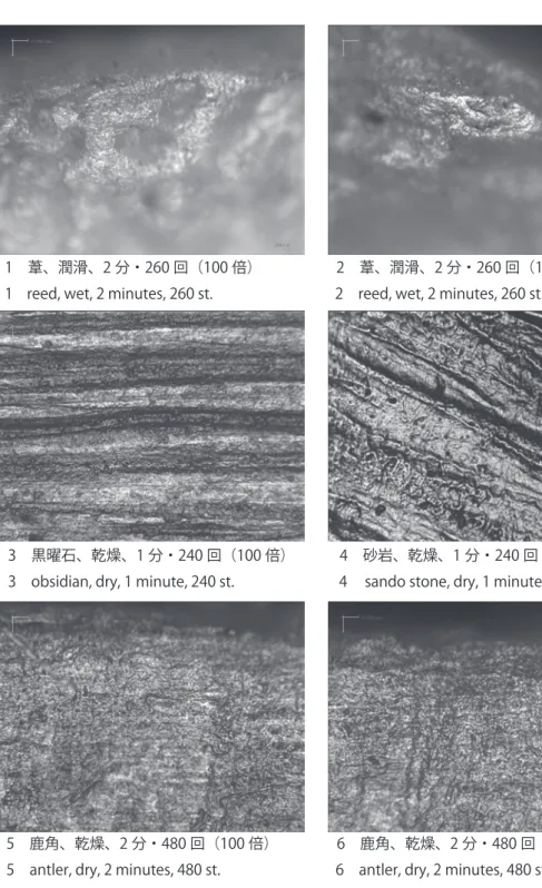 図 12　猪骨の研磨痕 （すべて 100 倍にて撮影）