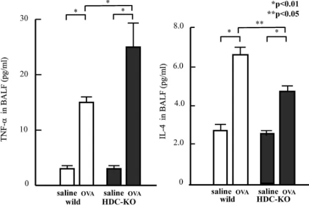Fig. 5. Concentration of TNF-a and IL-4 in BALF