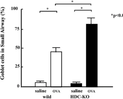Fig. 7. Ratios of Goblet Cells in the Small Airway