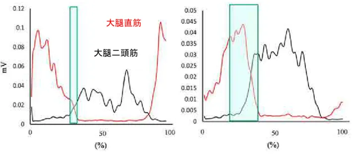 図 7  大腿直筋と大腿二頭筋の共収縮の違い 