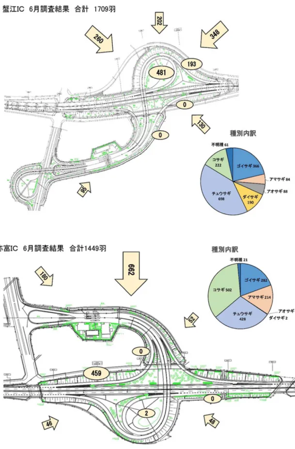 図 4-3  6 月の調査結果 