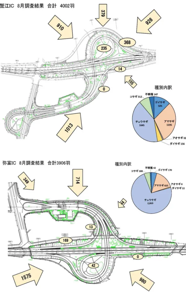 図 4-5  8 月の調査結果 