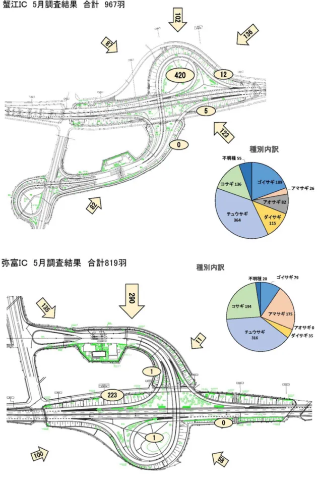 図 4-2  5 月の調査結果 